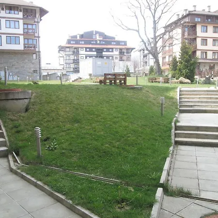 Neon Alexander Services Bansko